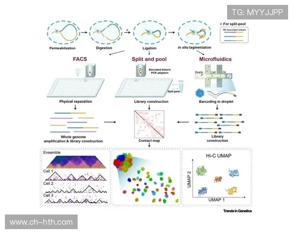 莱切俱乐部发展历程与未来战略全面解析与展望